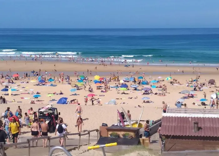 Jpp Marie Ange Proprietaire *