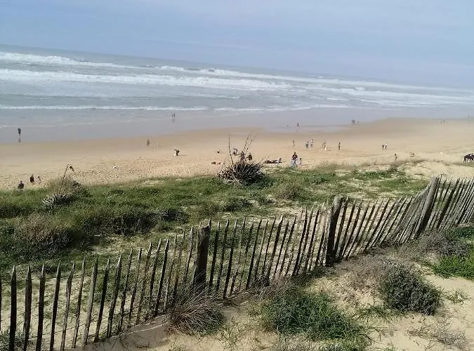 Jpp Marie Ange Proprietaire