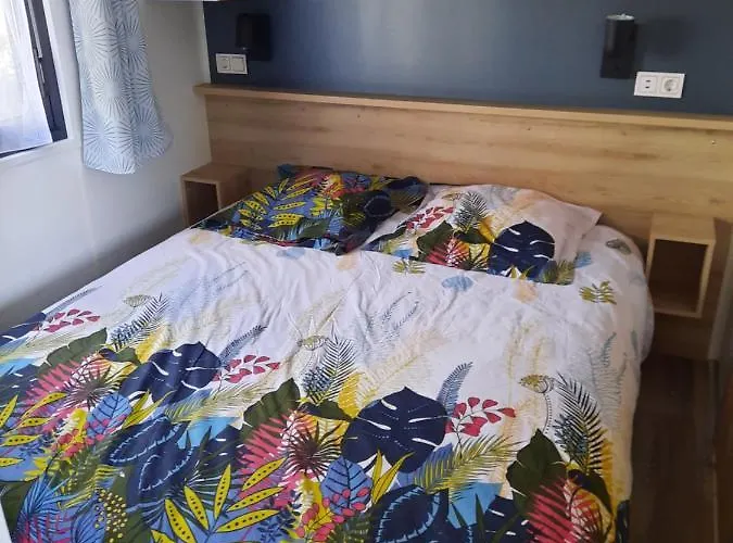 Jpp Marie Ange Proprietaire Saint-Julien-en-Born