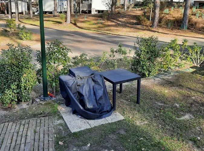 Camping Jpp Marie Ange Proprietaire