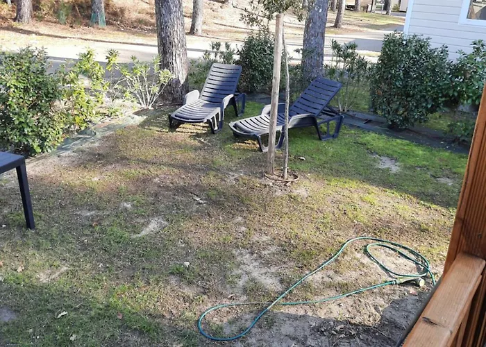 Camping Jpp Marie Ange Proprietaire Saint-Julien-en-Born