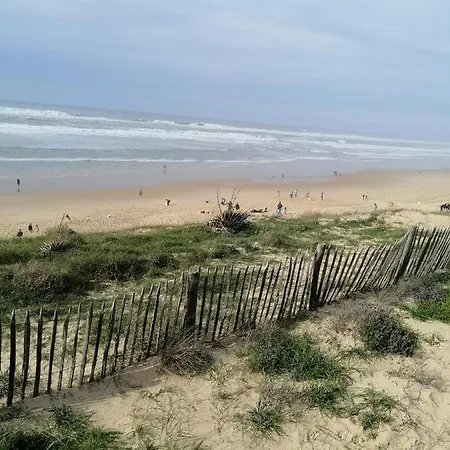 Jpp Marie Ange Proprietaire