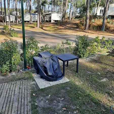 Campsite Jpp Marie Ange Proprietaire